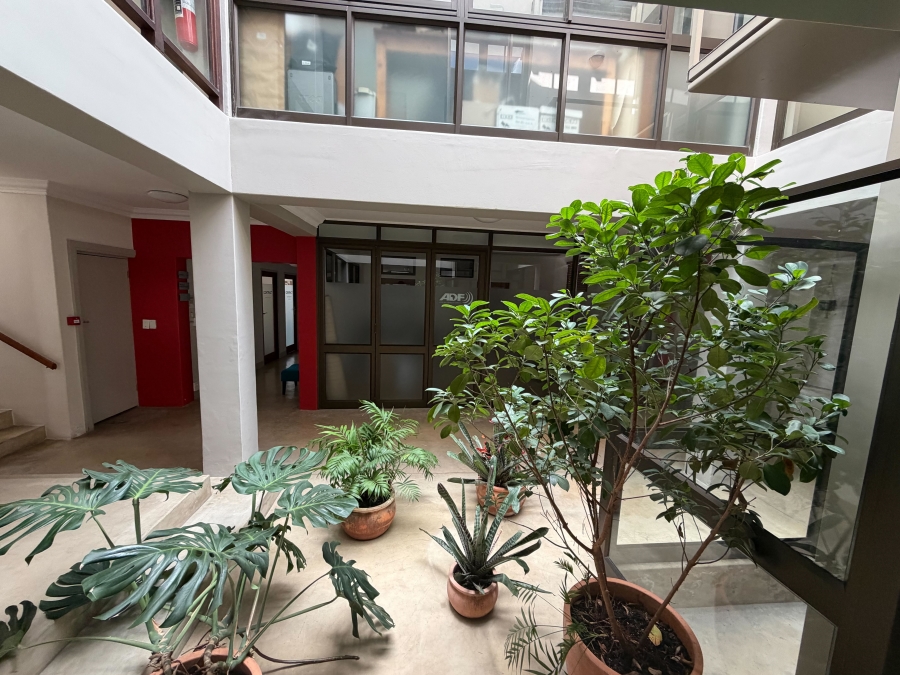 To Let Commercial Property for Rent in Kenilworth Western Cape